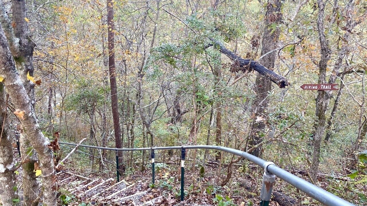 Photo of Outdoor in New Castle