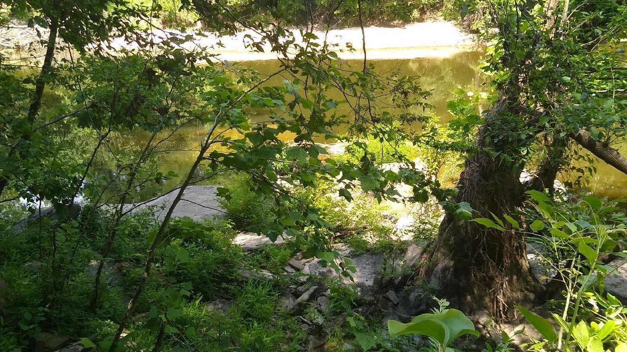 Photo of Outdoor in New Castle