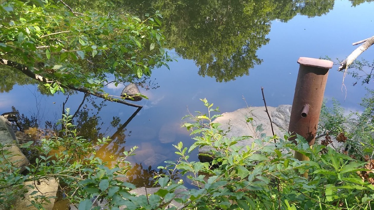 Photo of Outdoor in New Castle
