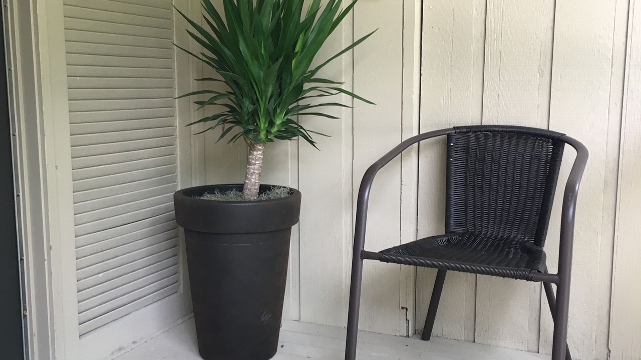 Photo of Outdoor in Daphne