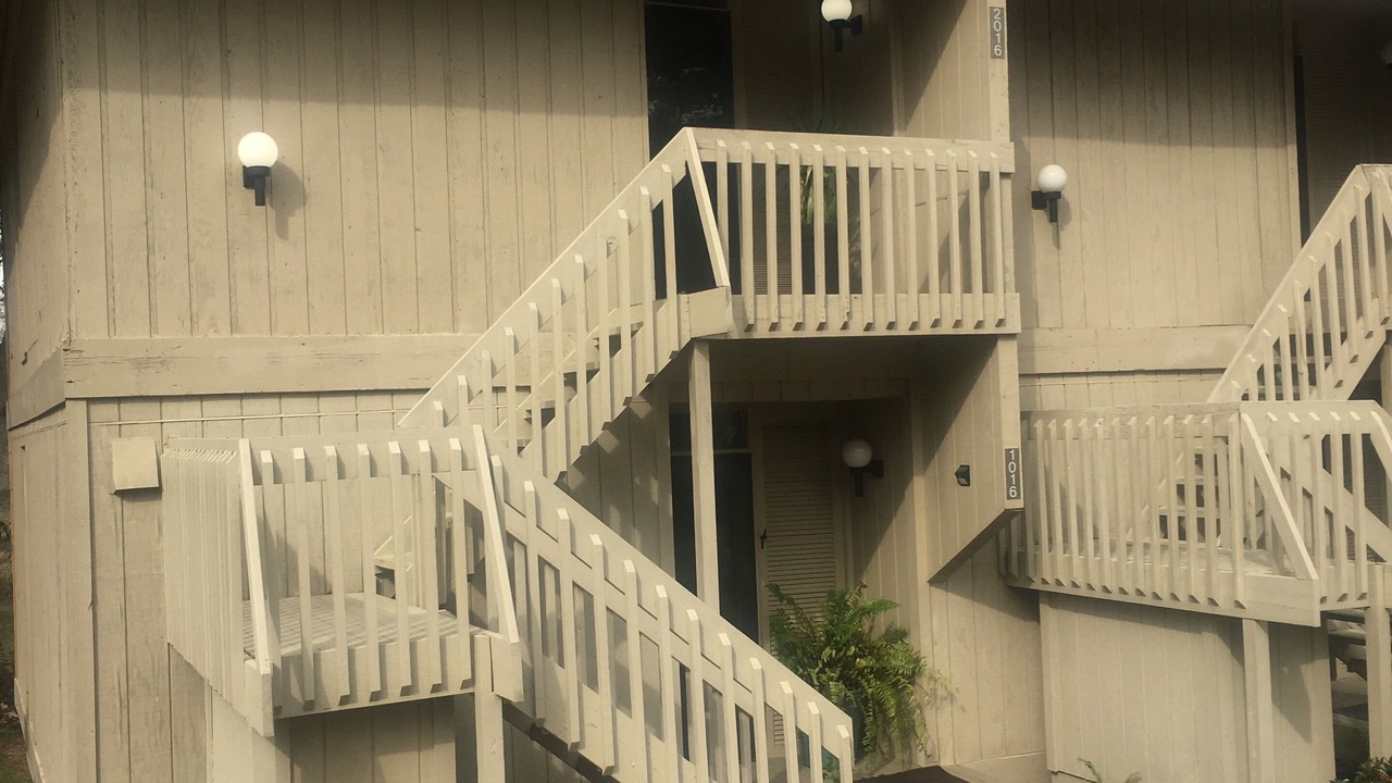 Photo of Others in Daphne
