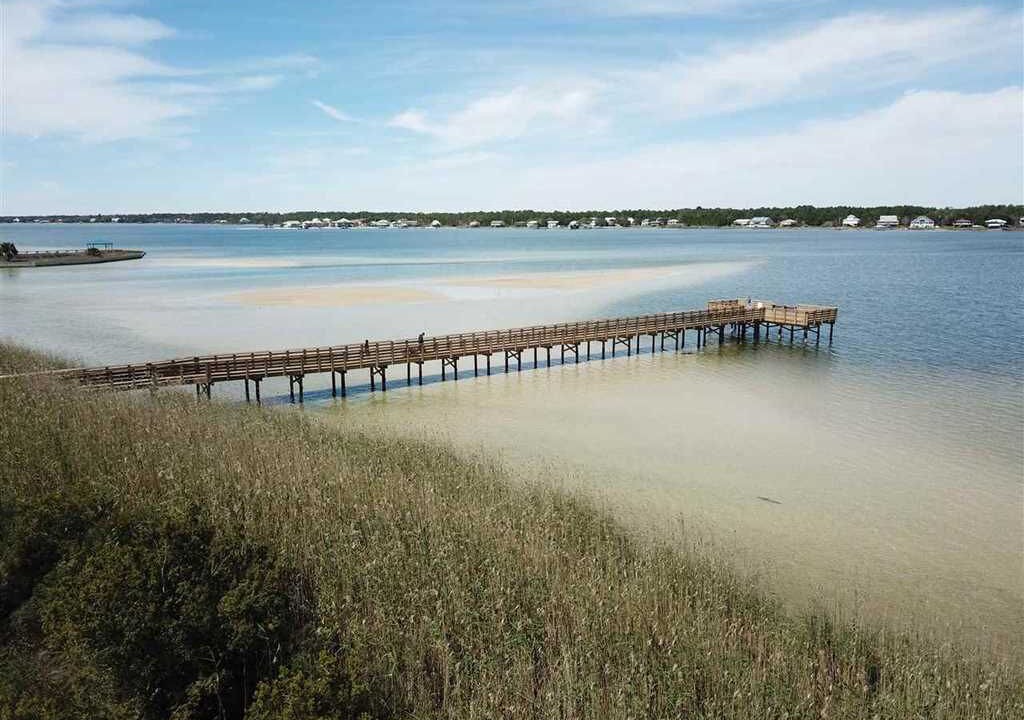 Photo of Others in Gulf Shores