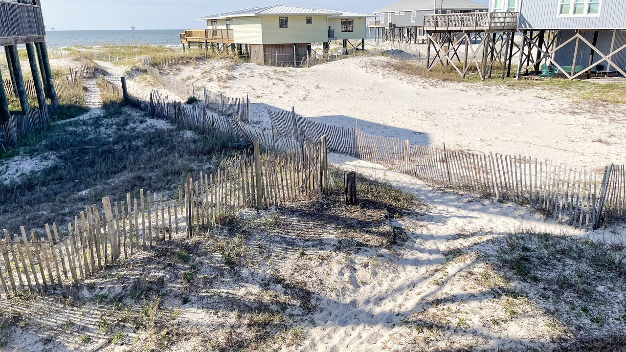 Photo of Others in Dauphin Island