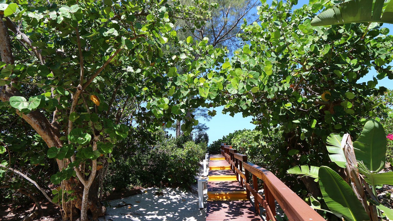 Photo of Outdoor in Captiva
