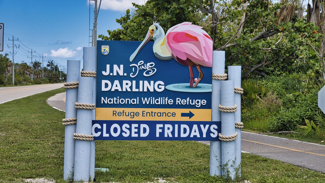 Photo of Others in Captiva