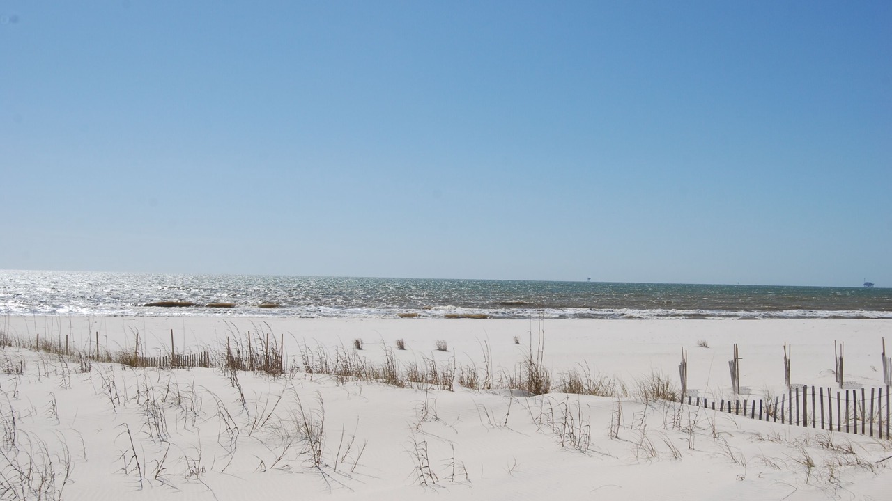 Photo of Others in Fort Morgan