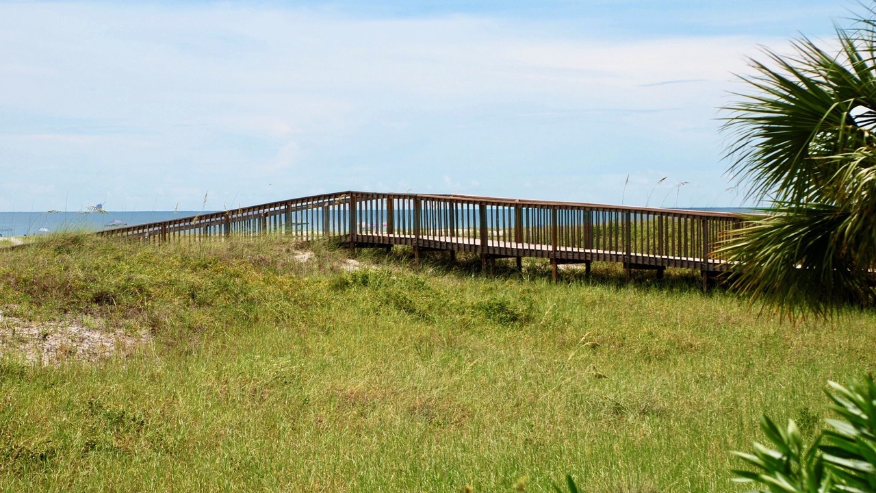Photo of Others in Dauphin Island