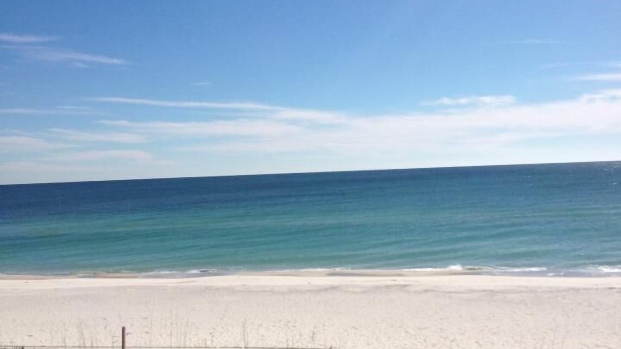 Photo of Others in Orange Beach East