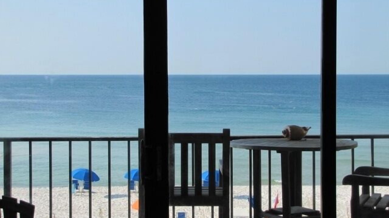 Photo of Others in Orange Beach East