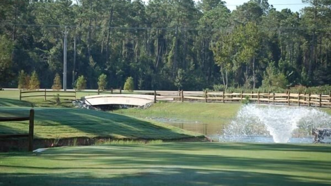 Photo of Others in Orange Beach East