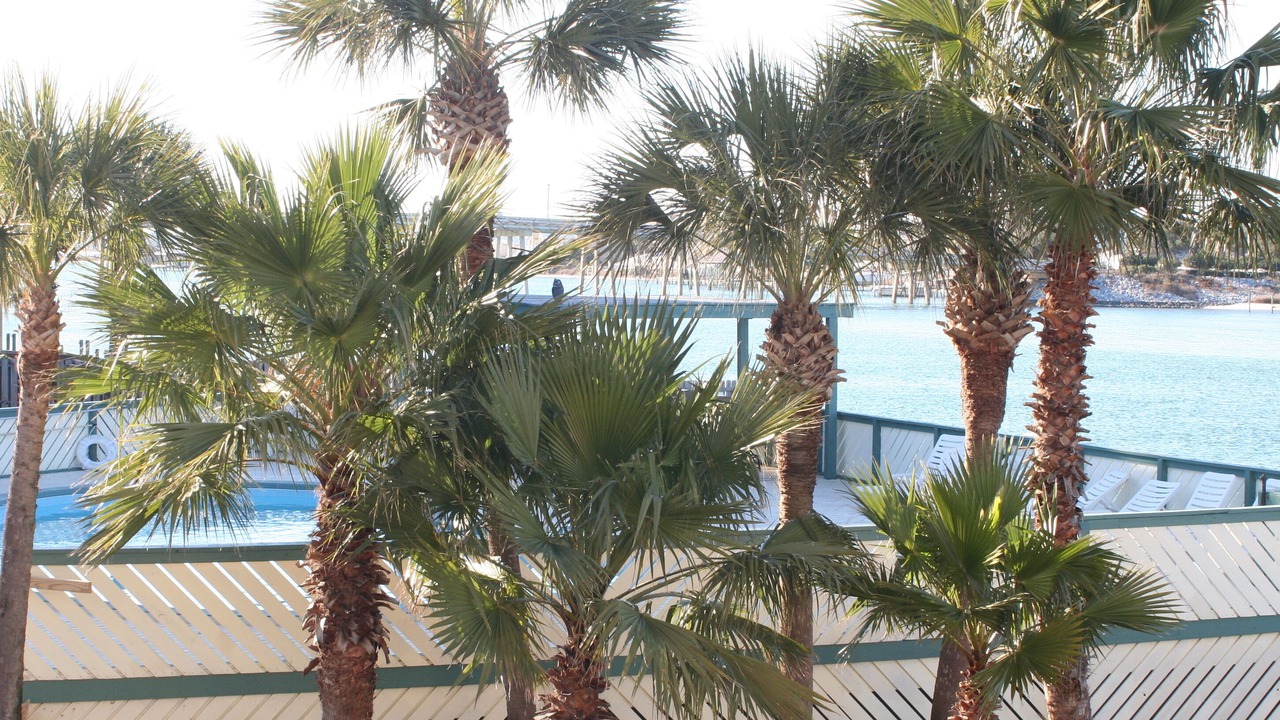 Photo of Outdoor in Orange Beach East