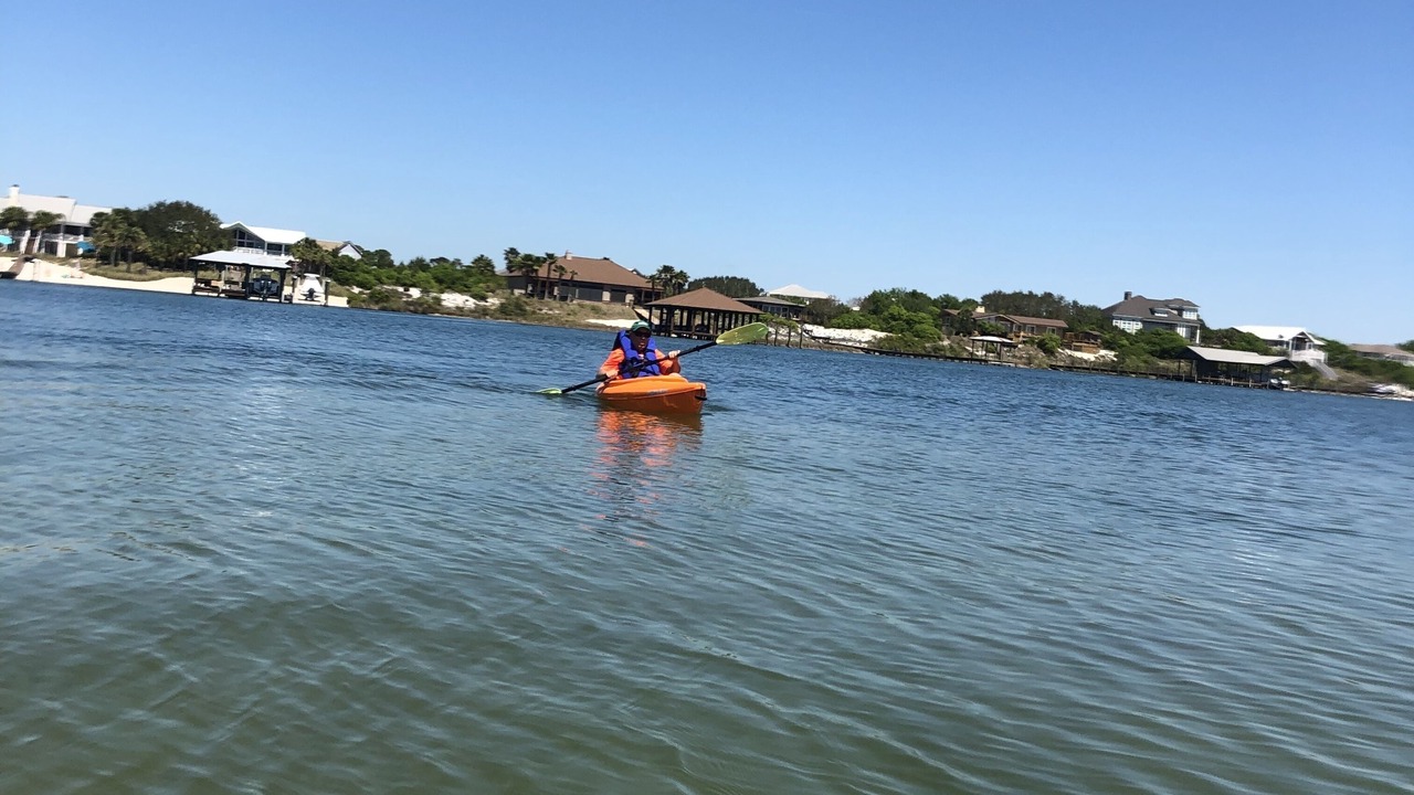 Photo of Others in Orange Beach East
