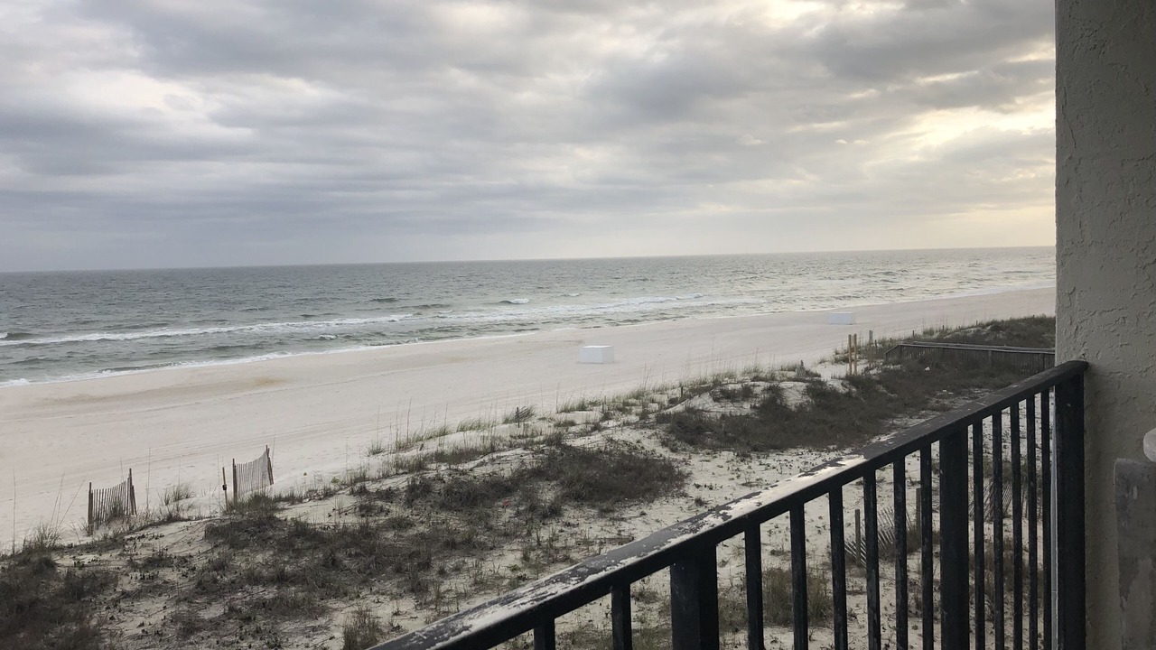 Photo of Others in Orange Beach East