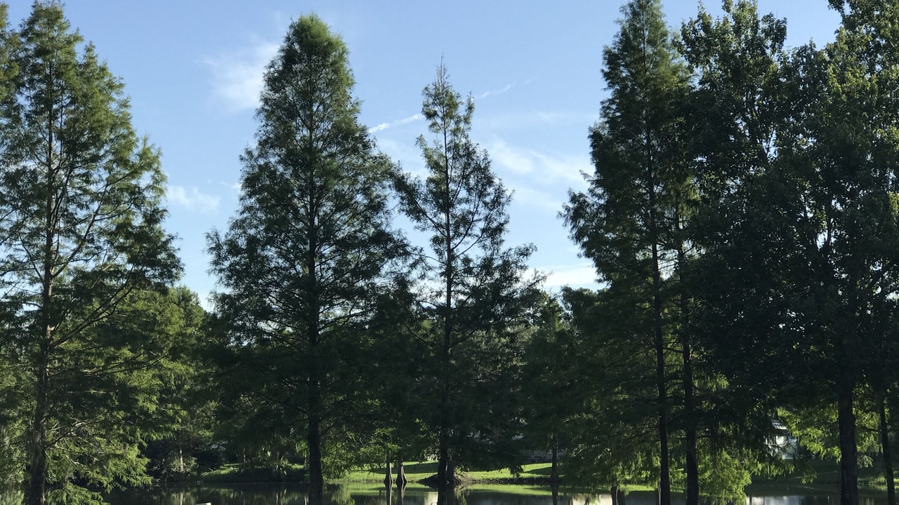 Photo of Outdoor in Vista del Lago