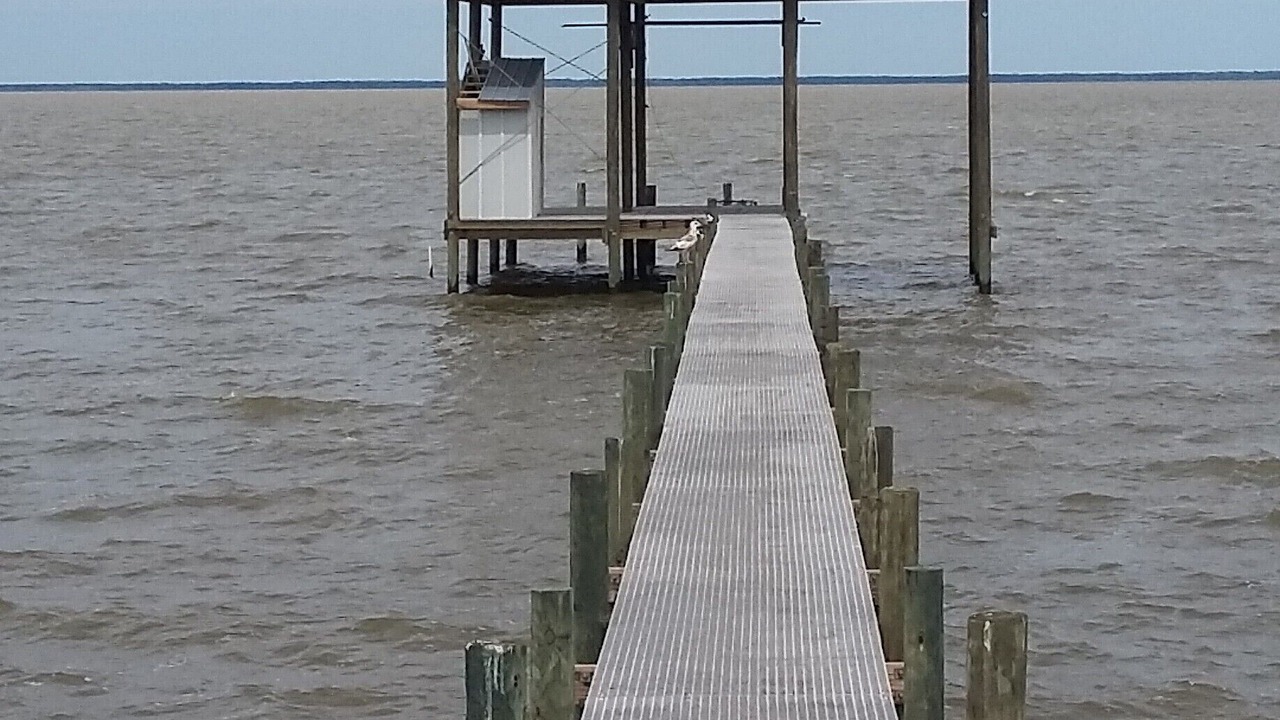 Photo of Others in Dauphin Island