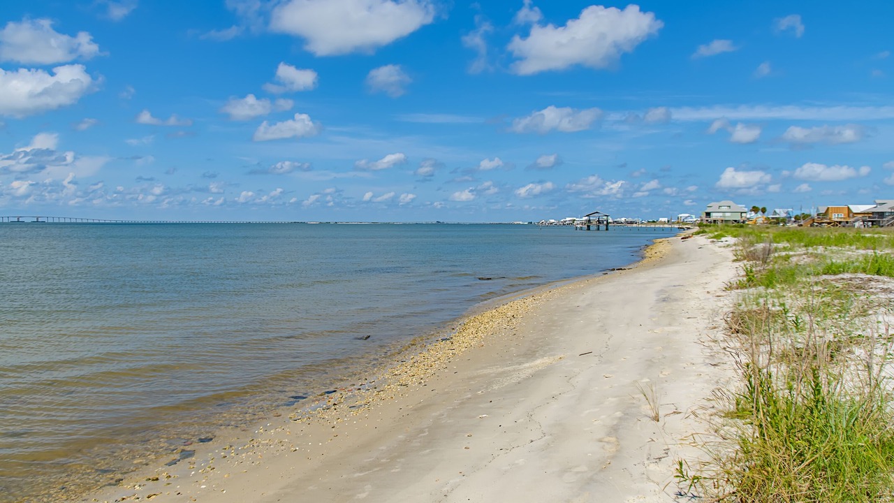 Photo of Others in Dauphin Island