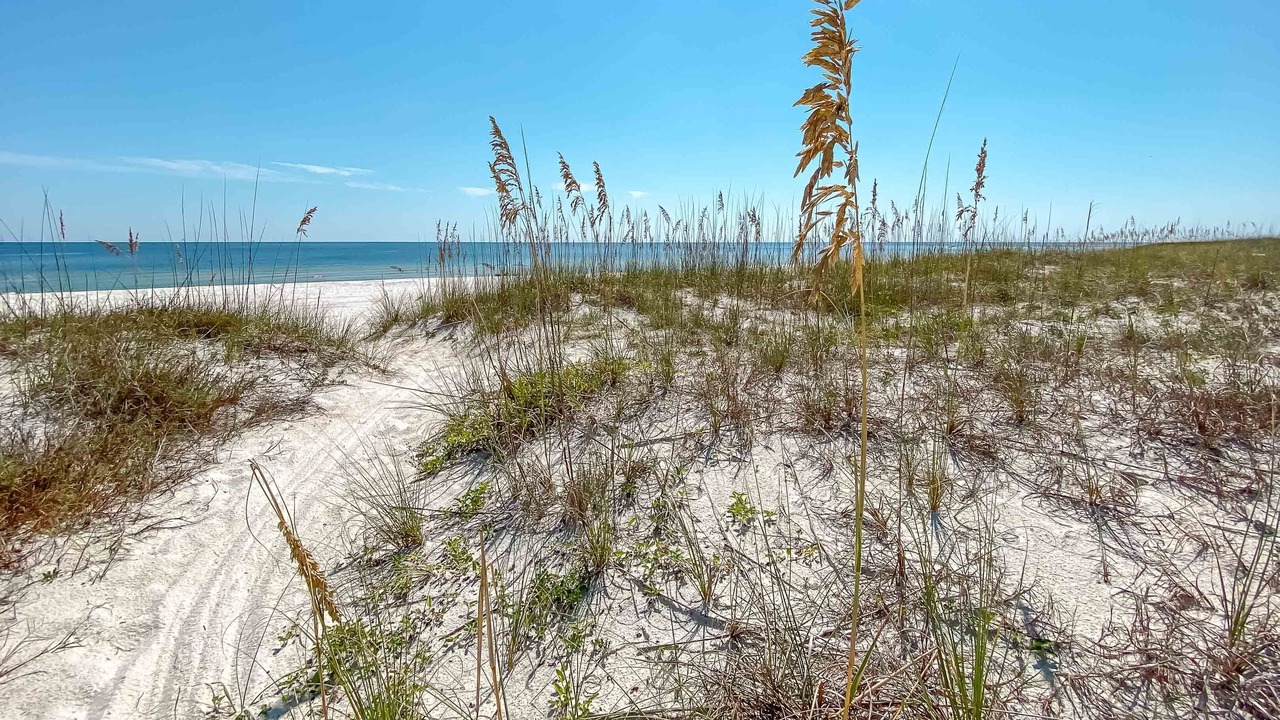 Photo of Others in Gulf Shores