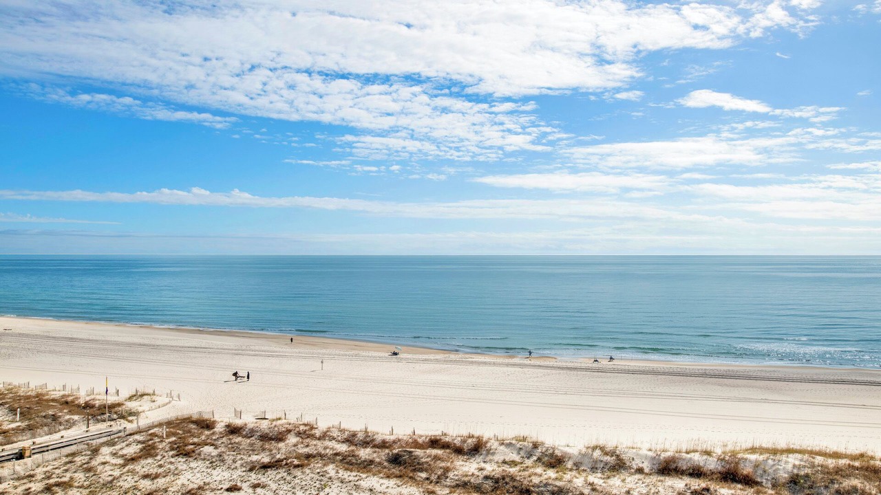 Photo of Others in Orange Beach East