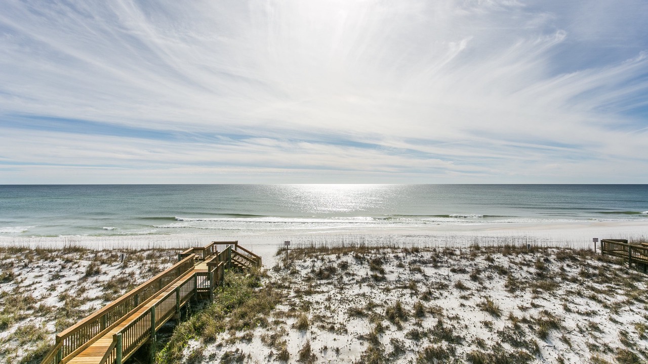 Photo of Others in Pensacola Beach