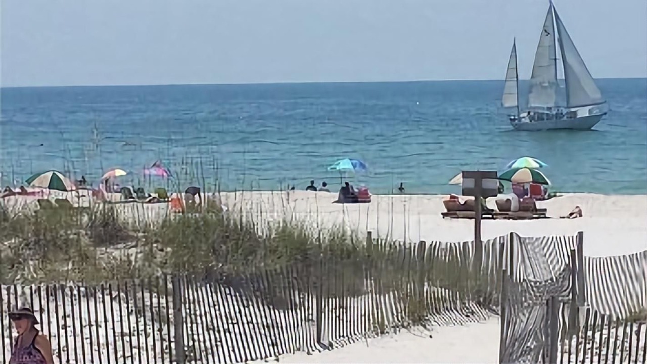 Photo of Others in Gulf Shores