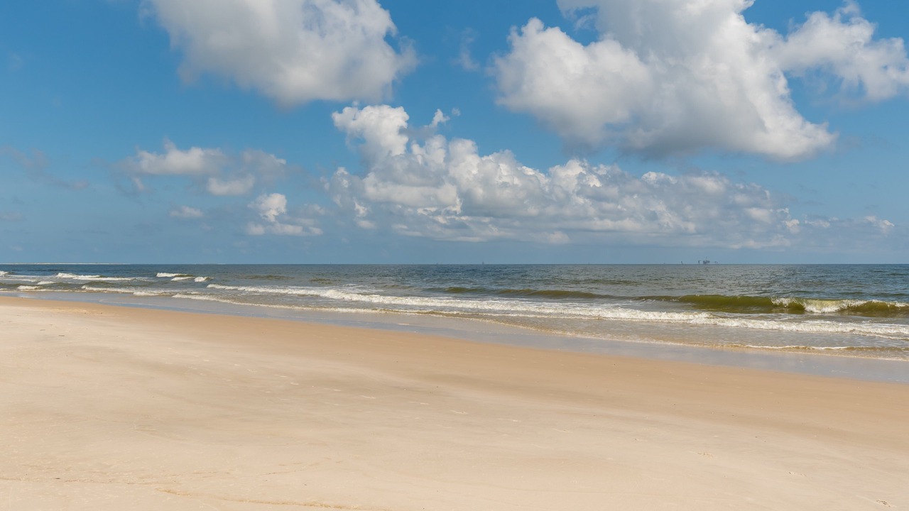 Photo of Others in Dauphin Island