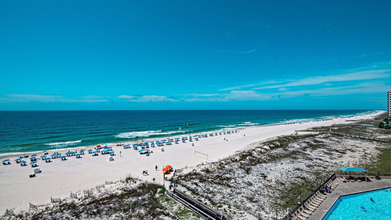 Photo of Others in Orange Beach East