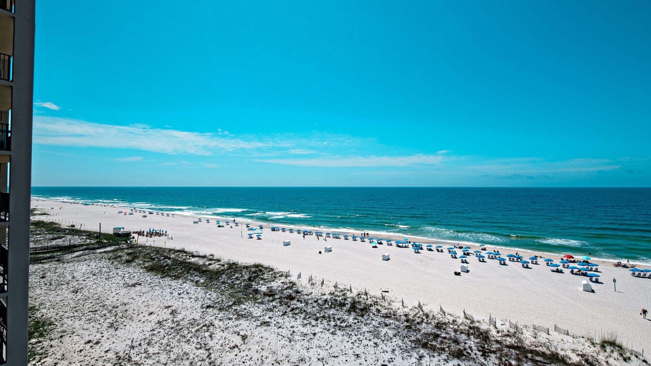 Photo of Others in Orange Beach East