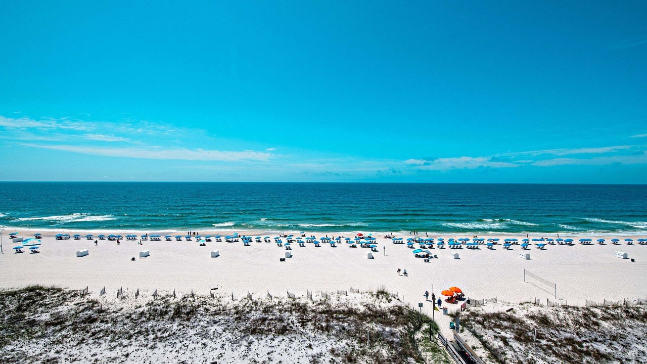 Photo of Others in Orange Beach East