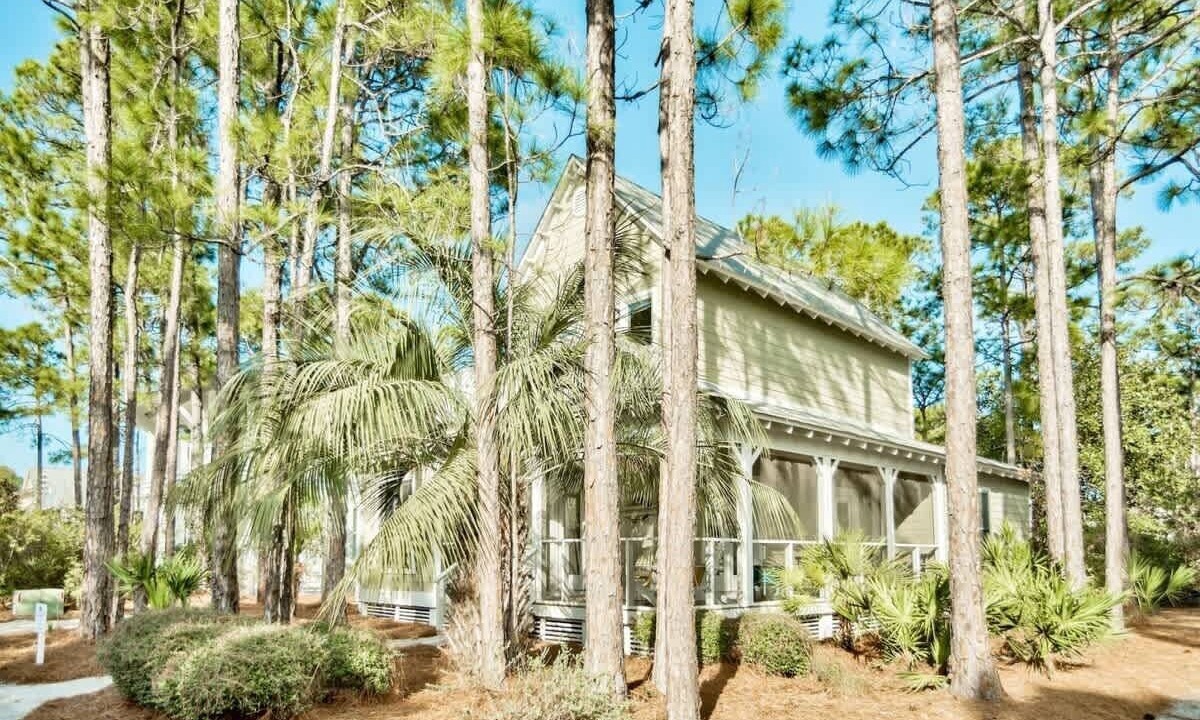 Photo of Outdoor in Seagrove Beach