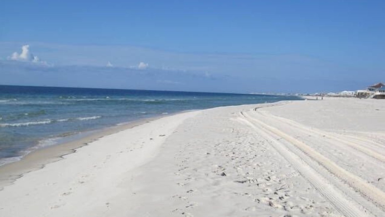 Photo of Others in Surf Side Shores