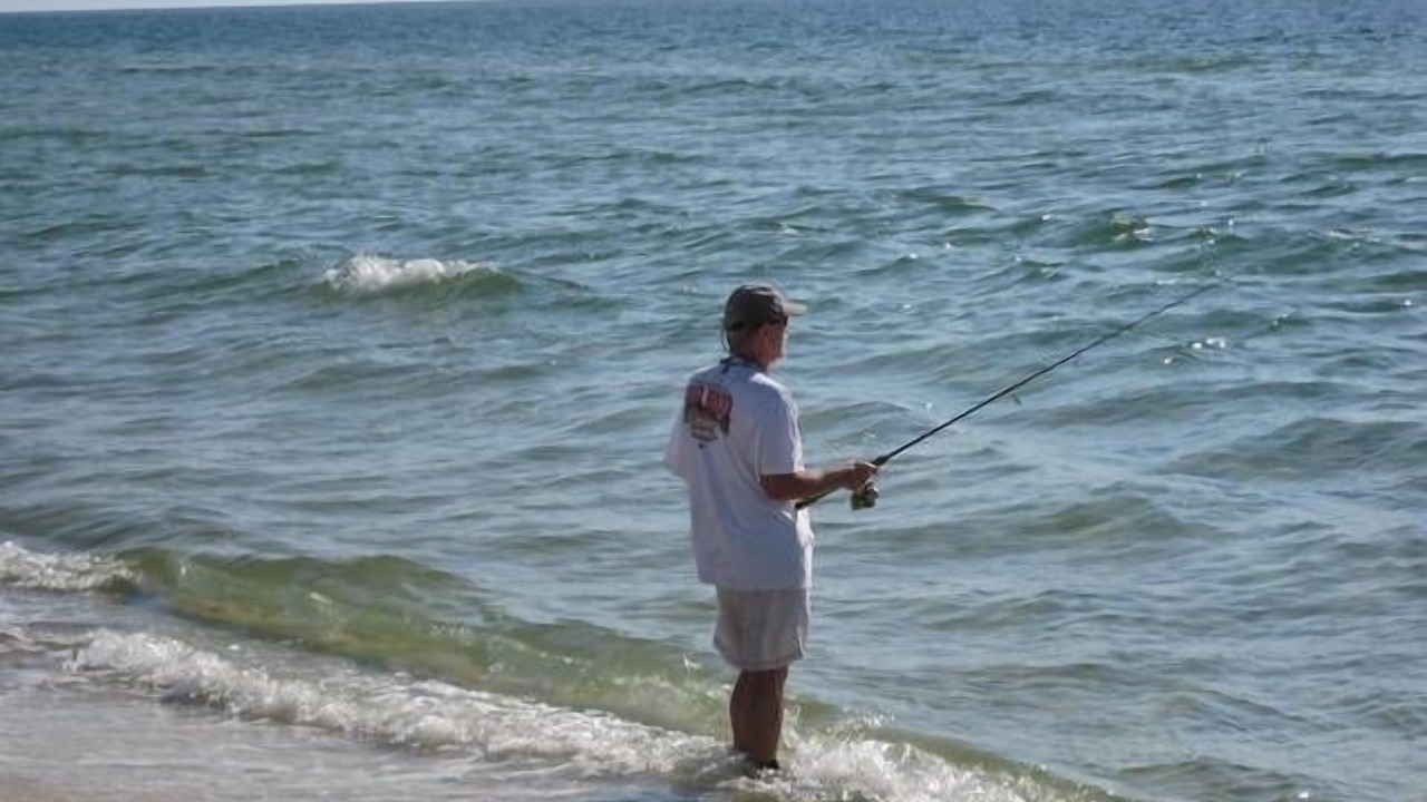 Photo of Others in Surf Side Shores