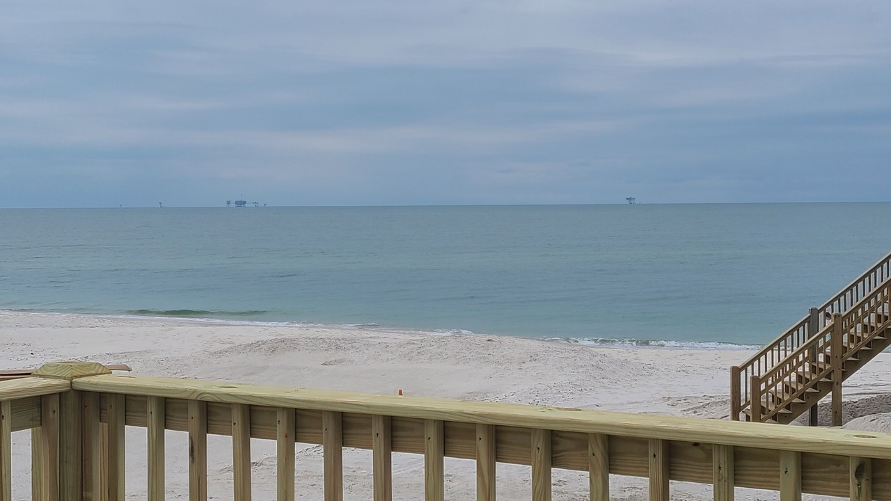 Photo of Outdoor in Dauphin Island