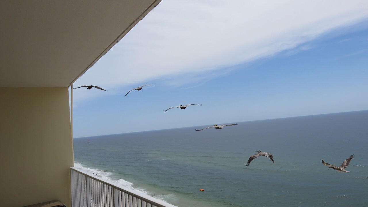 Photo of Patio Balcony in Gulf Shores