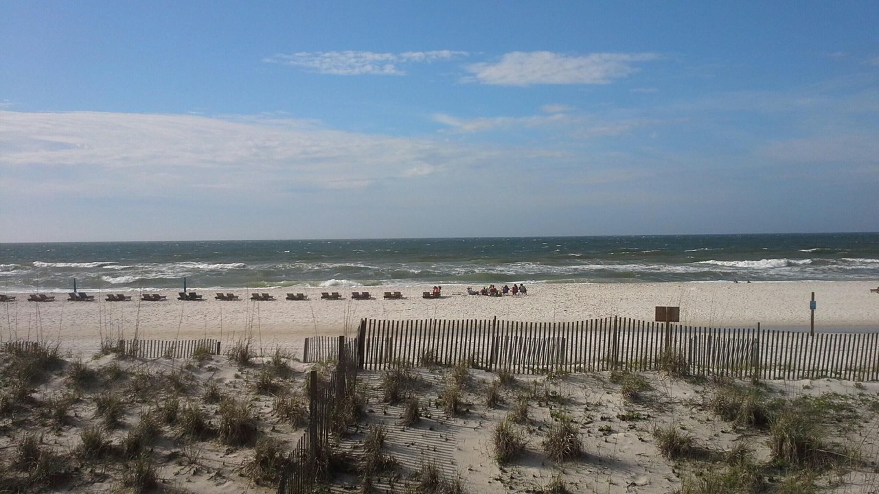 Photo of Others in Gulf Shores