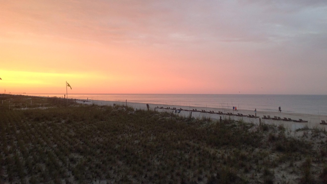 Photo of Others in Gulf Shores