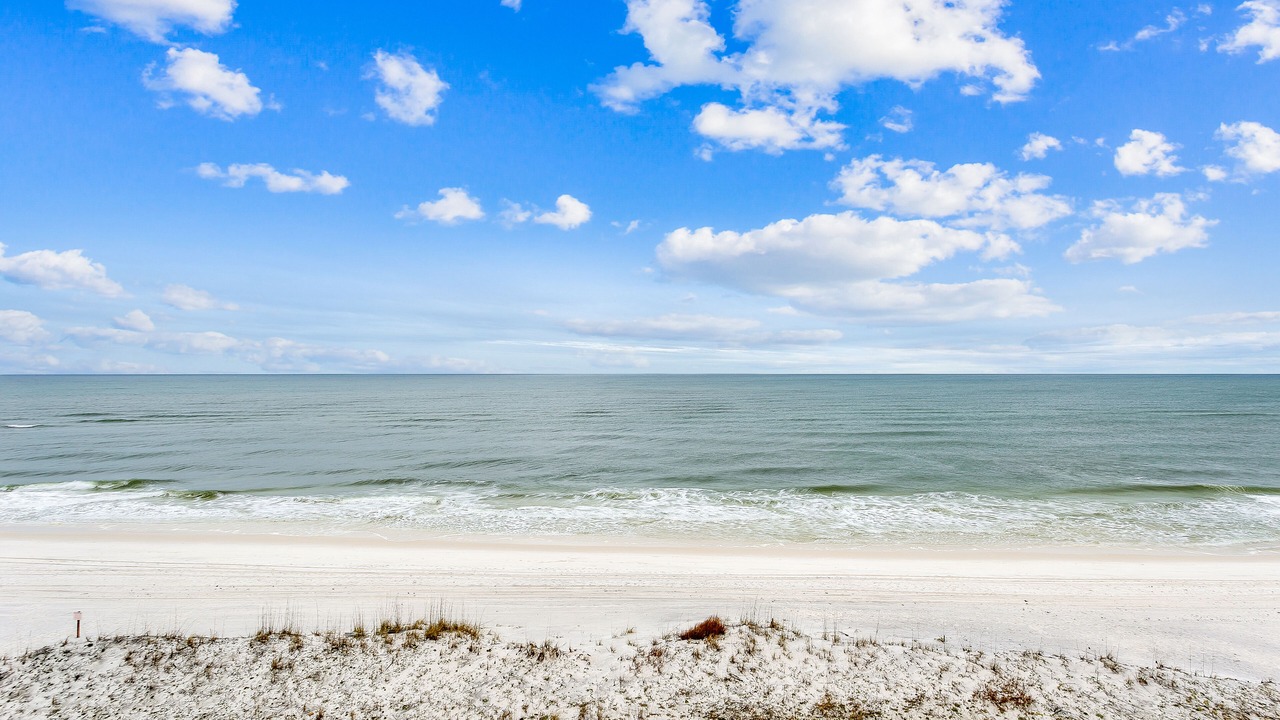 Photo of Others in Pensacola Beach