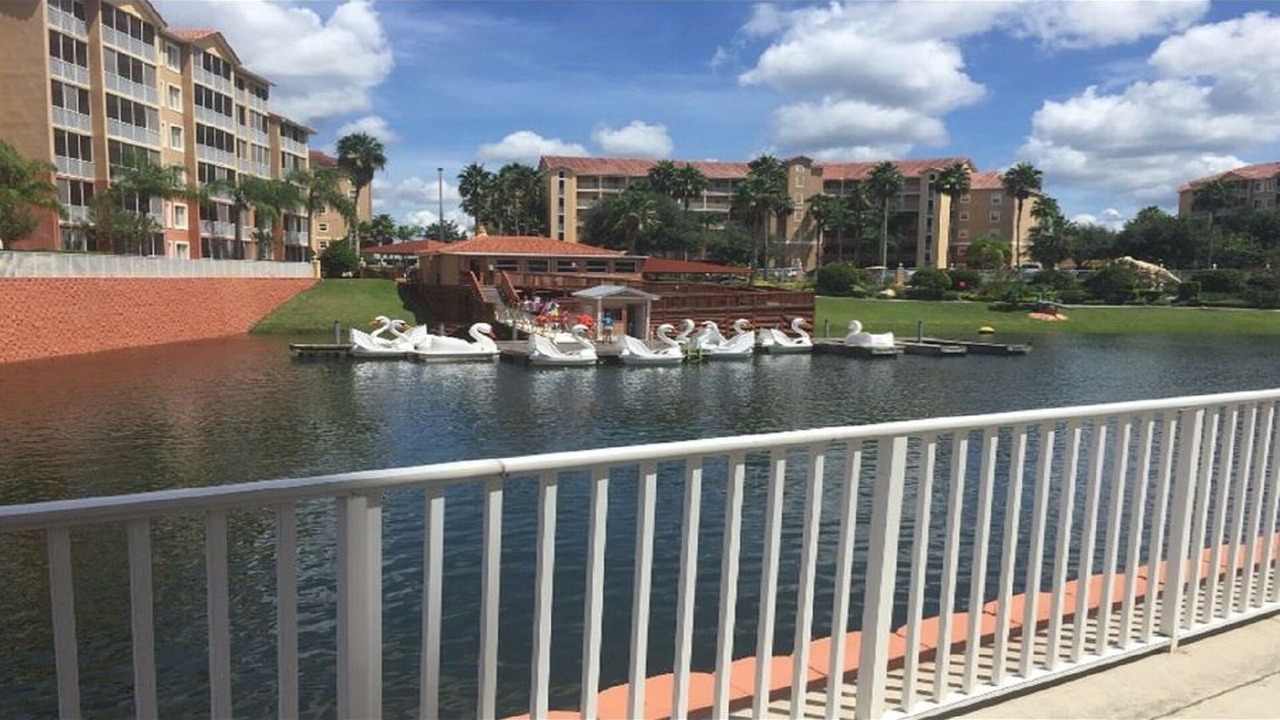 Photo of Outdoor in West Kissimmee