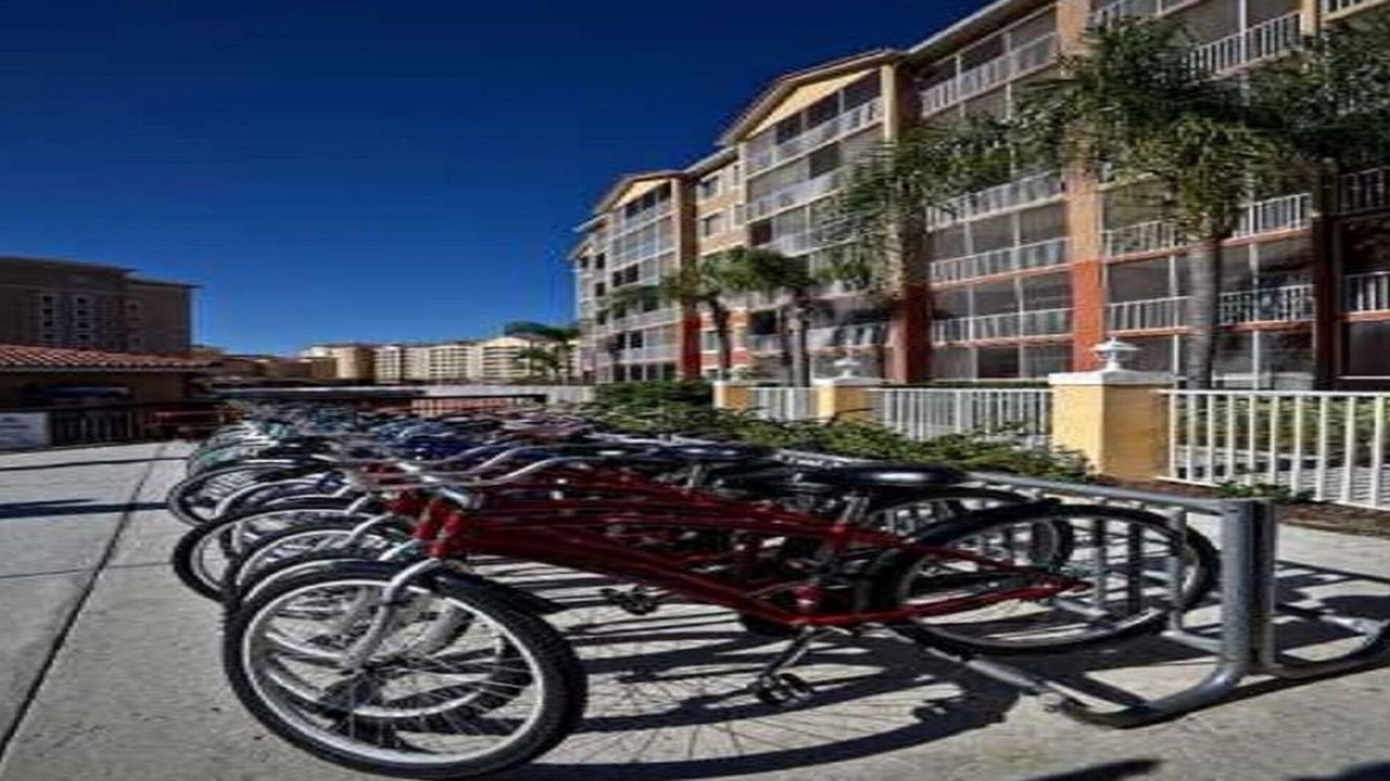 Photo of Outdoor in West Kissimmee