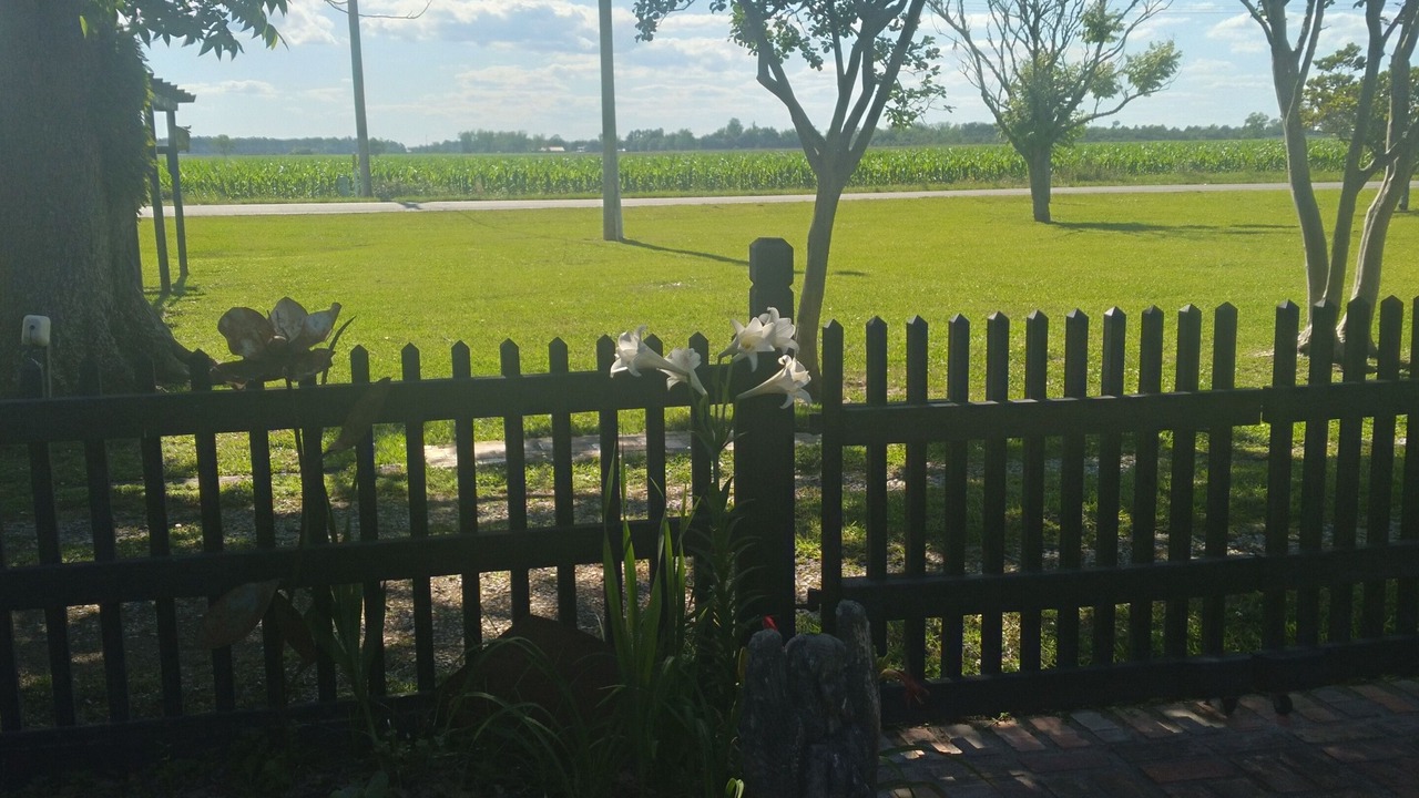 Photo of Outdoor in Fairhope