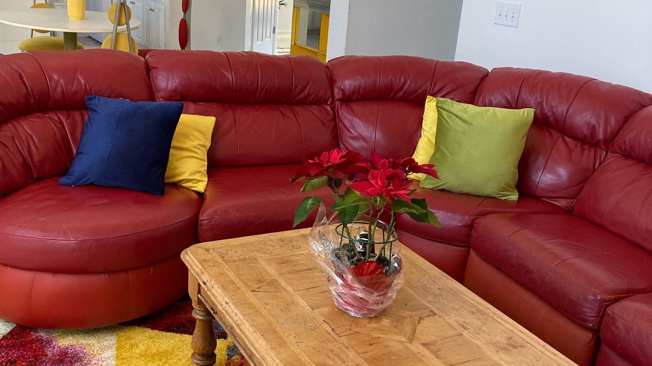 Photo of Livingroom in Hope Hull