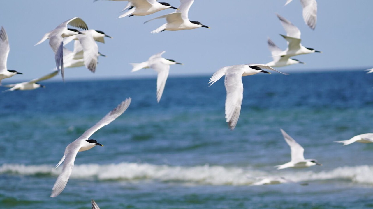 Photo of Others in Fort Morgan