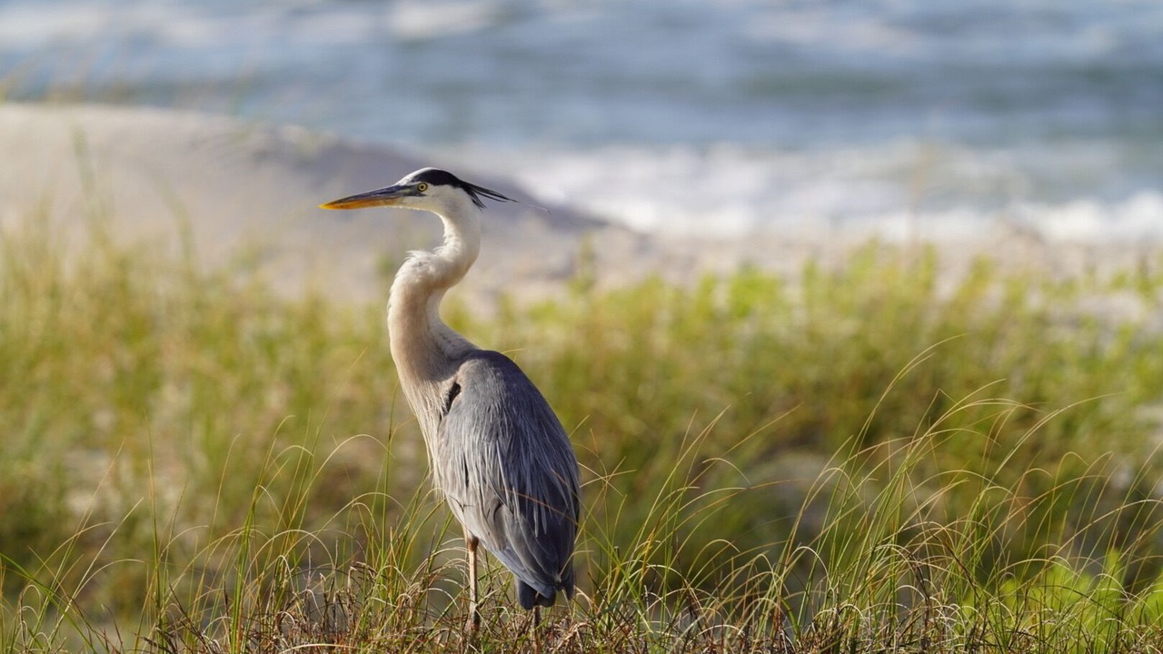 Photo of Others in Fort Morgan