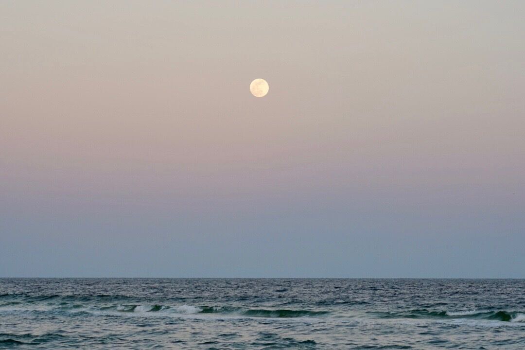 Photo of Others in Fort Morgan