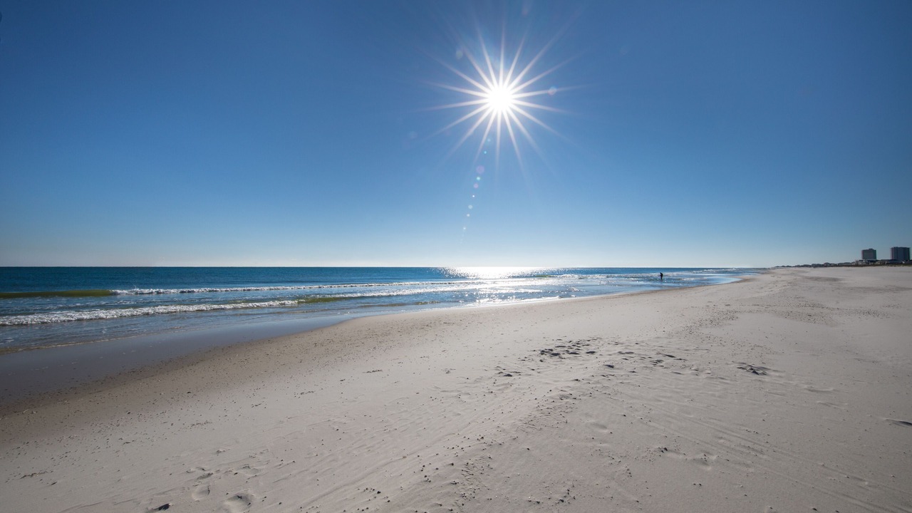 Photo of Others in Gulf Shores