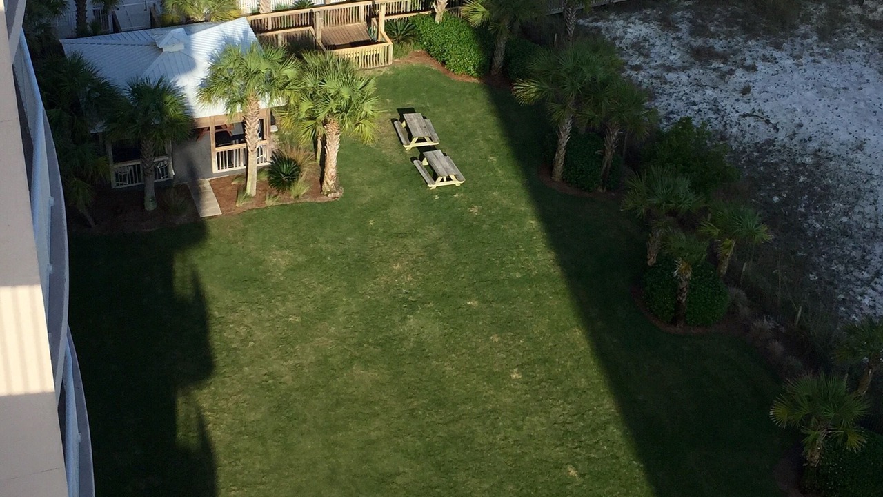 Photo of Others in Orange Beach East