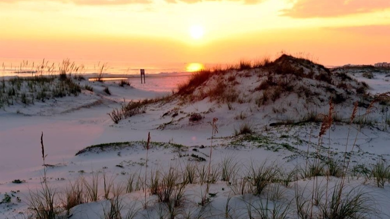 Photo of Others in Fort Morgan