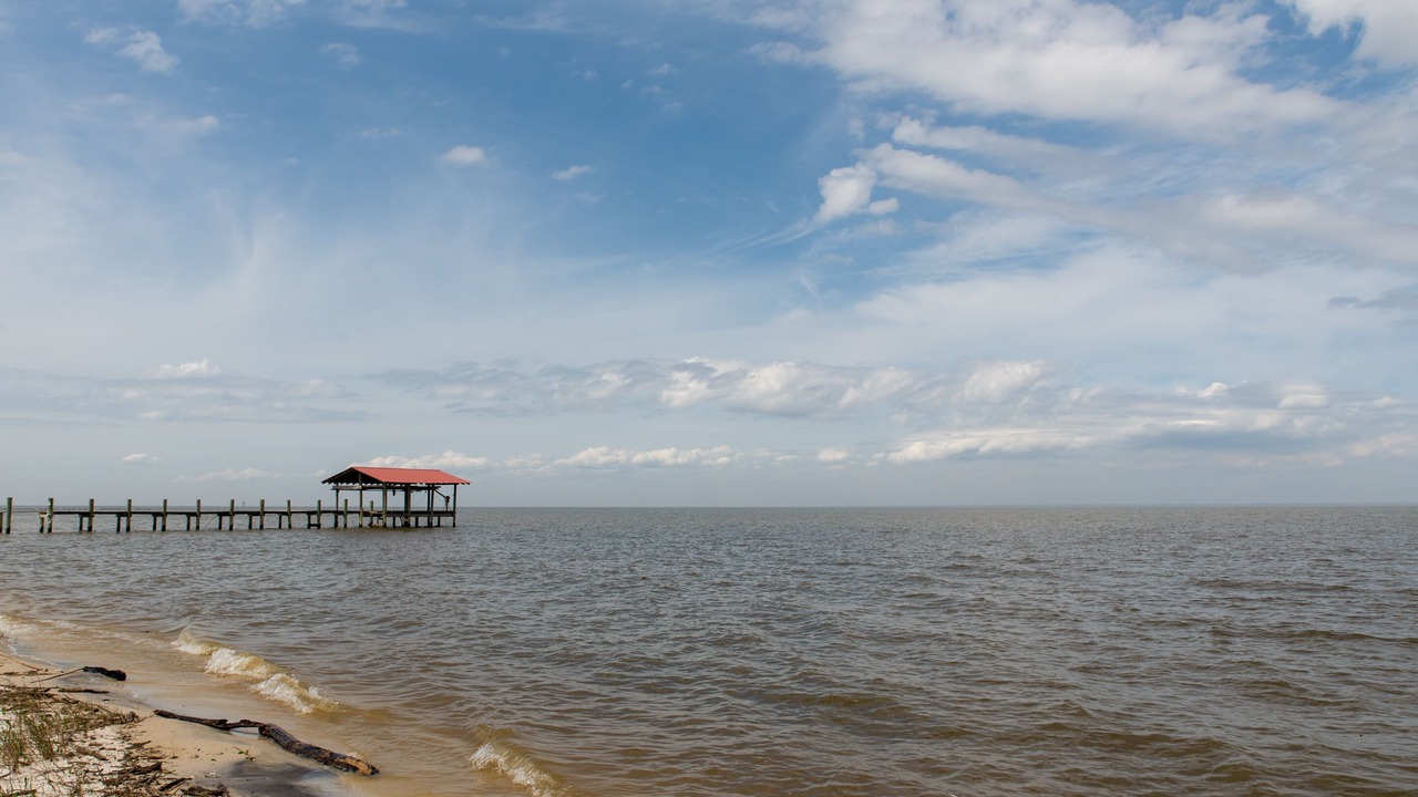 Photo of Others in Dauphin Island
