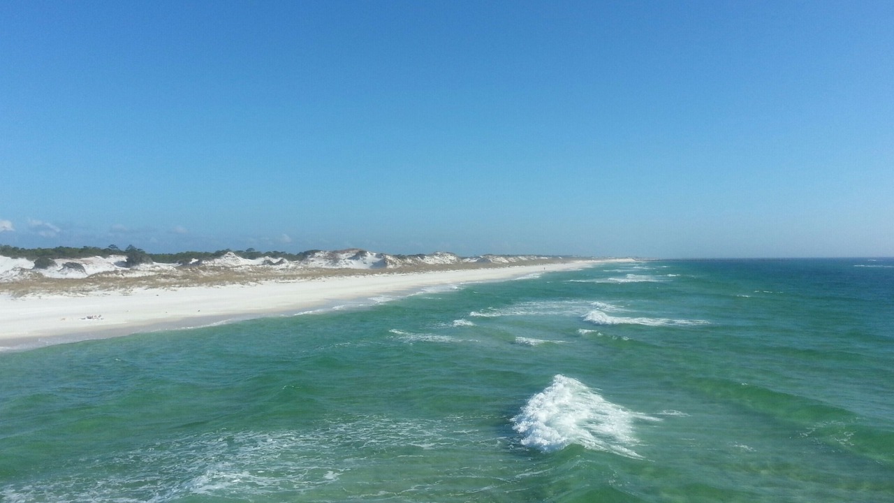 Photo of Others in Biltmore Beach