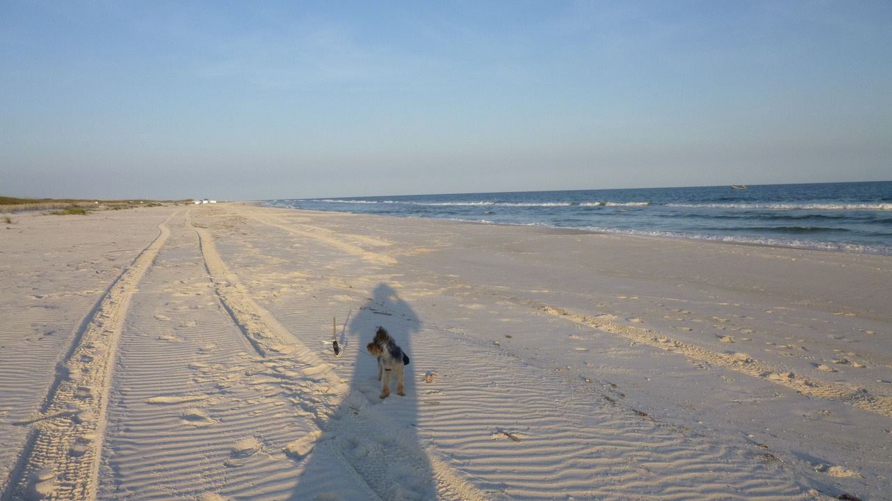Photo of Others in Fort Morgan