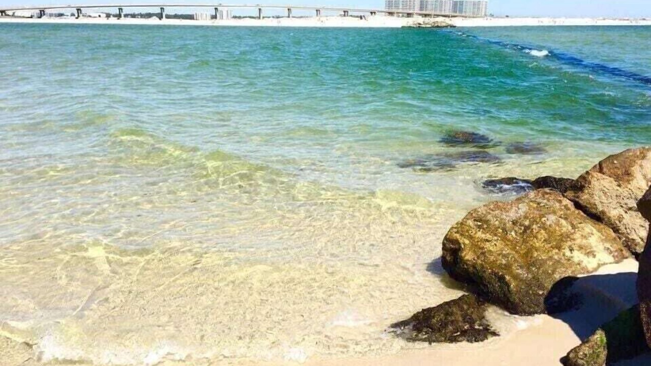 Photo of Others in Orange Beach